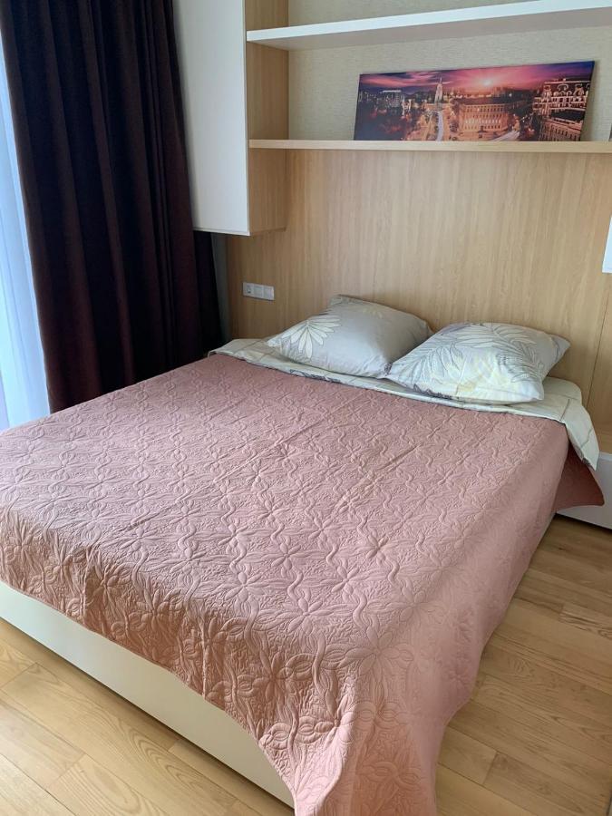 Comfortable Apartments French Quarter Акумулятори Світло Інтернет Завжди キエフ エクステリア 写真
