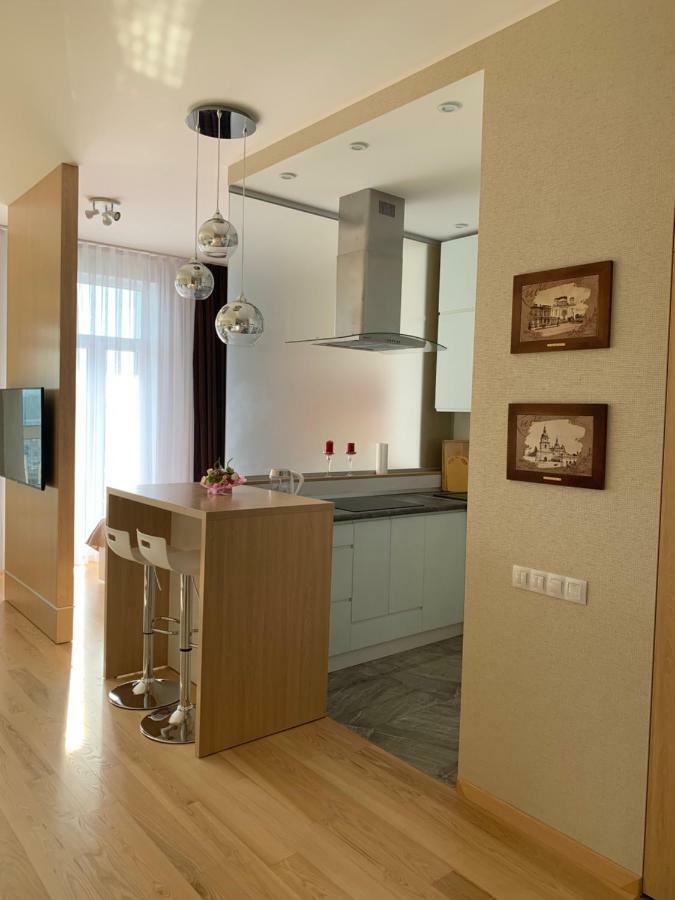 Comfortable Apartments French Quarter Акумулятори Світло Інтернет Завжди キエフ エクステリア 写真